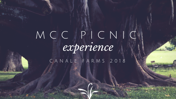 MCC Picnic Experience 2018